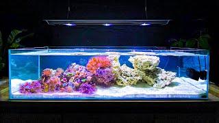 How I Built My Shallow Reef Tank: How To Make a Reef Tank