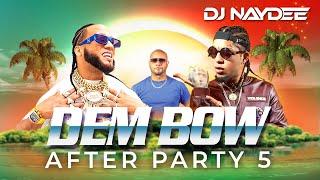 El Alfa, Rochy RD, Angel Dior, Bulin 47 | Dem Bow Mix 2023 | After Party 5  | DJ Naydee