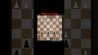 Мат в 1 ход  Отрывок занятия. #chess777 #chess #шахматы #обучение  #онлайнобучение