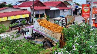 Start New Project Delete Pond Flooded Soil Landfill !! Bulldozer KomatSu D20p Push Stone ,5Ton Truck