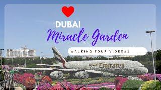 #Dubai Miracle Garden 2023 ||Walking Tour Video 1|