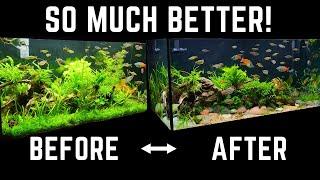 HOW TO MAKE YOUR AQUARIUM LOOK AMAZING WITH NEW SUBSTRATE! (EASY 4K TUTORIAL)