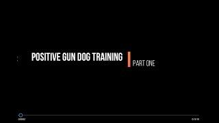 Mini-Documentary on Positive Gun Dog Training  - Part One