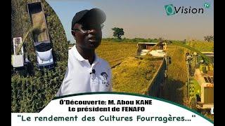 Ô'Découverte: M. Abou KANE président de FENAFO, "Le rendement des Cultures Fourragères...''