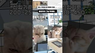 현타오는 중소기업과 대기업의 차이... #고양이밈 #대기업 #중소기업