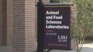 Students participate in poultry science program