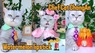 Watermelon lipstick  The process of making lipstick#catsofyoutube #food