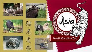 North Carolina Zoo: Asia Continent