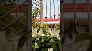 Best Hotel | Gattamma | Haritha Grand Hotels | Telangana Tourism