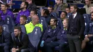 Tim Sherwood pulls fan out of the stand to take his place on the bench!