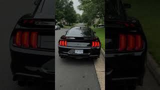 Mustang GT