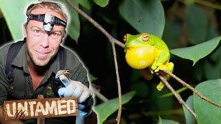 Searching For The Most Unique Frogs Of Australia!  | The Wild Life Of Tim Faulkner Clip | Untamed