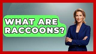 What Are Raccoons? - The Wild Life Explorer