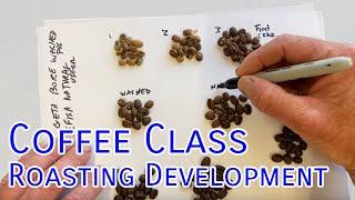 Coffee Class: First Crack, Second Crack, Coffee Roasting Development