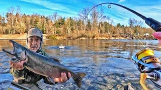 Fishing For Coho Salmon