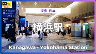 横浜駅 4K | Kanagawa - Yokohama Station | DJI Pocket 2 | 2024.11.23