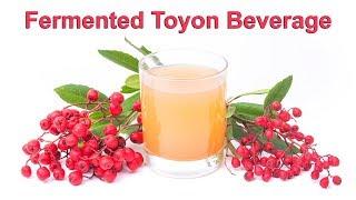 How to make a fermented toyon beverage