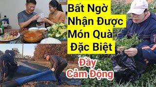 884# Món Quà Bất Ngờ Nhận Được , Tiên Vui Mừng Không Thể Tả Được