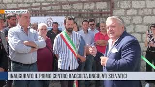 Petralia Sottana. Inaugurato il primo centro raccolta ungulati selvatici