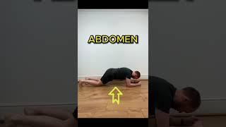 Best Plank Tip | How to do a Plank by a Physical Therapist