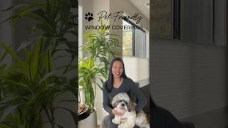 Pet-Friendly Window Coverings by Amazing Blinds by Armi