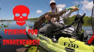 Kayak Fishing for Snakeheads