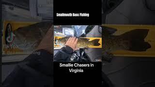 Smallmouth Bass Fishing #smallmouth #riverfishing #kayakbassfishing #fishing #river #shenandoah
