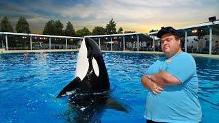 Dine with Orcas At SeaWorld Orlando Florida Review