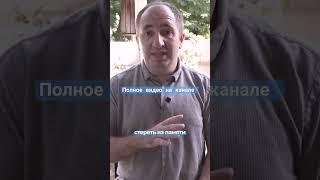 Кто такие палестинцы? может они Филистемляне? #Израиль #палестина #история #палестинцы #филистимляне