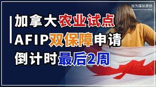 加拿大联邦农业试点项目AFIP双保障申请只剩2周！两次递交PR身份机会！现成批文直接加名！