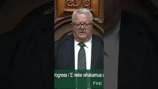 Haka interrupts vote for the Treaty Principles Bill | RNZ