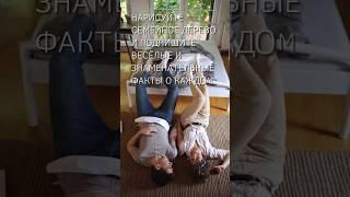 ПсихоФакт 494 – Семейное дерево и весёлые факты – short #shorts
