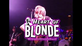 LIVE AF - HEART OF BLONDE #blondie #newwave #punk #80s