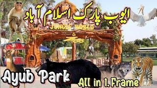 Ayub Park Rawalpindi | Ayub National Park Rawalpindi