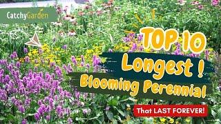 Top 10 LONGEST Blooming Perennial Flowers That LAST FOREVER!  // Gardening Ideas