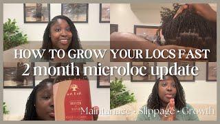 2 MONTHS MICROLOCS UPDATE | HOW TO GROW LOCS FAST, SLIPPAGE, MAINTENANCE  | VLOGTOBER DAY 4 