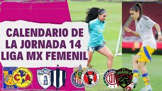 J14 DONDE VER Y CUANDO JUEGAN  LIGA MX FEMENIL AP24