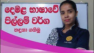 pillam bavithaya | pillam in tamil | දෙමළ භාෂාවේ පිල්ලම් භාවිතය හරියටම | tamil with sureka