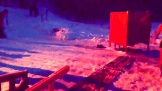 Ныряние в Прорубь