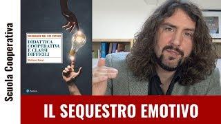 # 38 Il sequestro emotivo del cervello