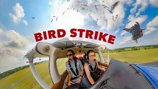 BIRD STRIKE on Takeoff • IFR to Dallas Love Field