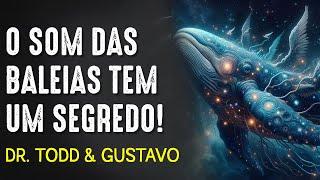 MEDITAÇÃO inédita da PINEAL, saia da MATRIX e desperte!!