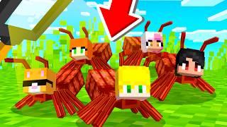 Vida de Formiga no minecraft