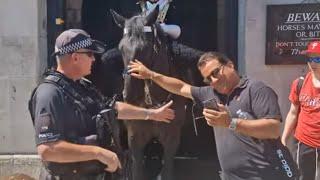 armed police officer confronts tourist for stroking the horse    #thekingsguard