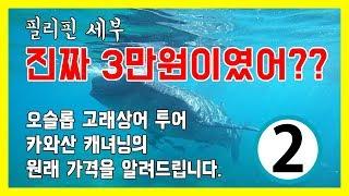 필리핀 세부 자유 여행기 2편 | 오슬롭 고래상어, 카와산 캐녀닝이 원래 3만원???