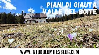 PIANI DI CIAUTA - VALLE DEL BOITE