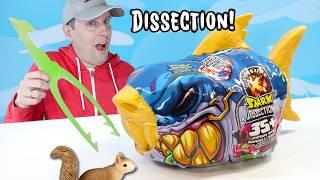 Treasure X Shark Dissection Sunken Gold Hunters 2025 Review