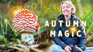 Exploring the Magic of Autumn: Photographing Fungi on the Woodland Floor