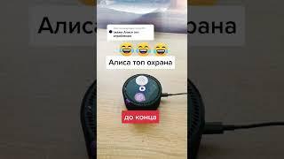 Алиса лучшая охрана