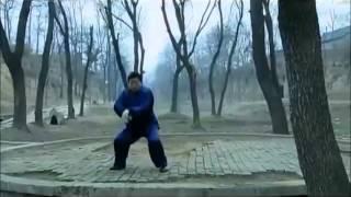 Chen Xiaowang showing eight taijiquan energies